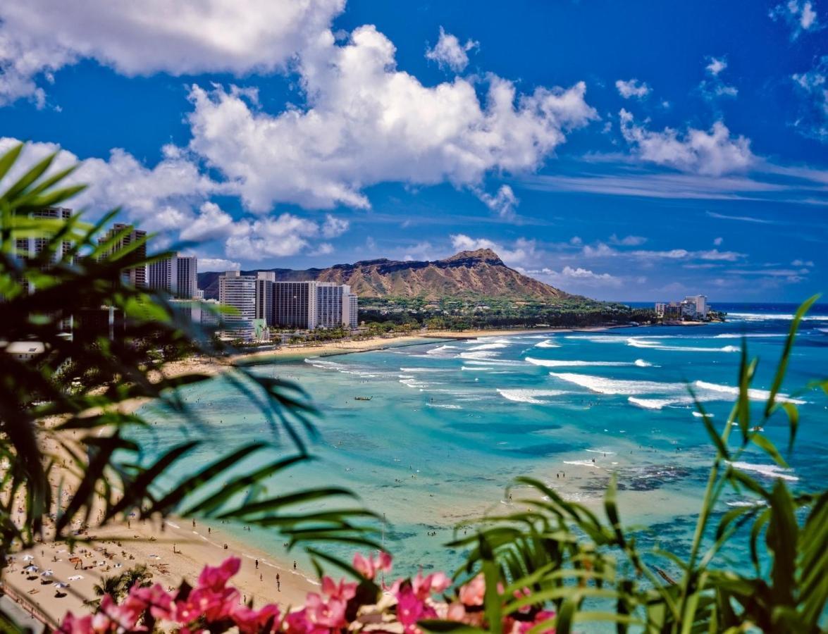Great Diamond Head Views, 2Br Condo With Free Parking! Хонолулу Екстериор снимка